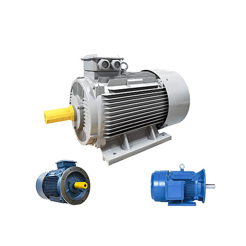 IEC Standard Motors