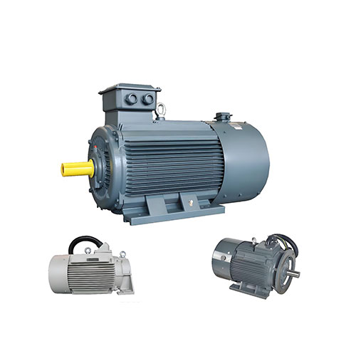 Customized Motors